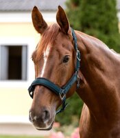 Waldhausen Halfter Soft Touch