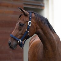 USG ONYX Glitzer Halfter