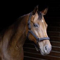 USG ONYX Glitzer Halfter