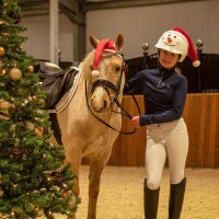 Brands of Q Reithelm-Überzug Weihnachten Snowman