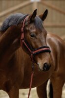 Covalliero Halfter H/W 2025