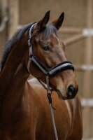 Covalliero Halfter H/W 2025