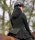 ELT Heizparka Comfort Heat