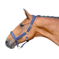 Euroriding Halfter Nylon anatomisch