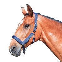 Euroriding Halfter Nylon anatomisch