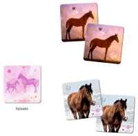 Coppenrath Pferdefreunde Memo