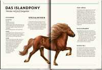 Coppenrath Lebensgroß - Pferde aus aller Welt