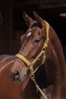 Eskadron Girth Double Pin Halfter