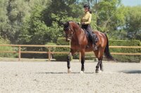 Eskadron Mesh Gamaschen