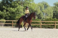 Eskadron Mesh Gamaschen