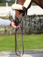 Kentucky Vorführstrick