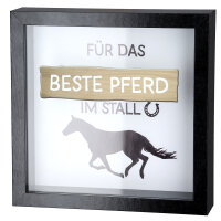 Spardose Pferdeglück