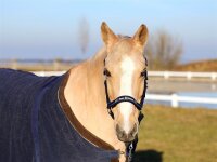 Tom Büttner Halfter Athletic