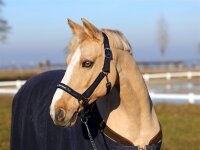 Tom Büttner Halfter Athletic