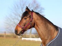 Tom Büttner Halfter Athletic