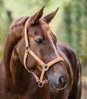 Waldhausen Perlonhalfter Satin