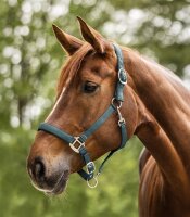 Waldhausen Perlonhalfter Satin