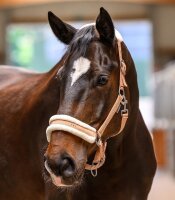 Waldhausen Halfter Elegant