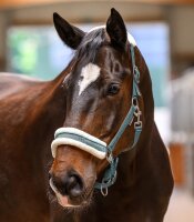 Waldhausen Halfter Elegant