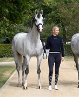 Kingsland KLNabia Coolmax Kniestrümpfe