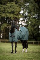 Horseware Amigo Ripstop 900D Fleece Lined Turnout 50g Dynasty Green/Navy