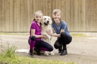 Covalliero T-Shirt F/S 2026