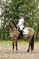 Covalliero Competition Shirt F/S 2026