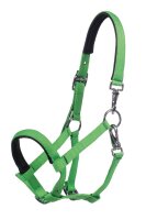 HKM Fohlenhalfter -Millie-