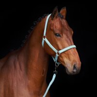 HV Polo Halfter HVPNena