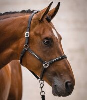 HKM Lederhalfter -Sparkle-