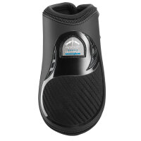 Veredus Olympus Vento