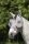 Horseware Defense Flymask