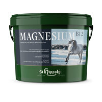 St. Hippolyt Magnesium B12