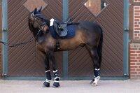 Eskadron Fliegenohren Sport