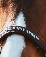 Schockemöhle Sports Halfter SP Memphis Style III
