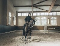 Pikeur Herren-Steppjacke QUILTED JACKET