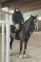 Pikeur Herren-Steppjacke QUILTED JACKET