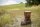 Ariat WMS Wetherby Waterproof Insulated Boot