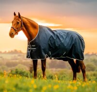 Horseware Amigo Ripstop 900D Turnout 0g Witney Navy