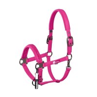 Eskadron Halfter SPARKLE JEWEL DOUBLE PIN Dynamic