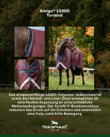 Amigo 1200D Turnout 0g
