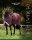 Amigo 1200D Turnout 0g