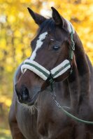 Covalliero Halfter Soft H/W 2026