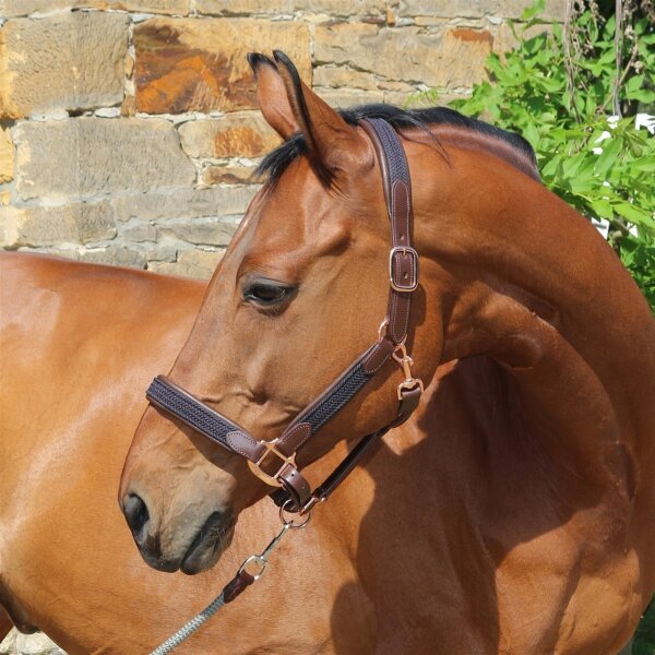 Euroriding Halfter Leder Charly