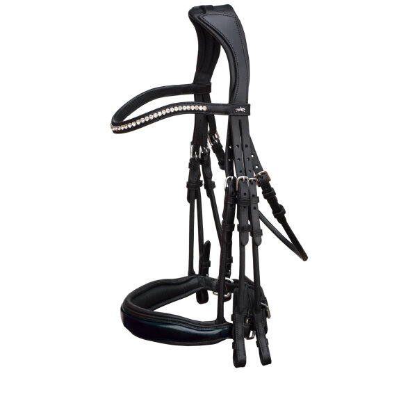 schwarz Lack